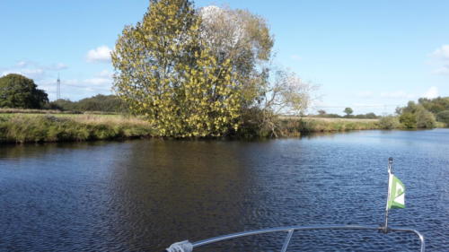 Hamme September 2018_3